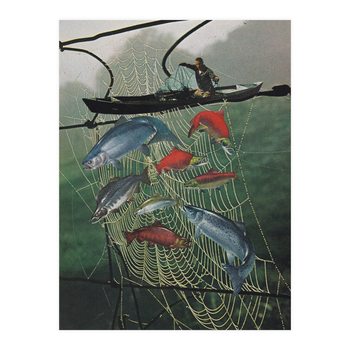 Salmon Trap (Print Only)