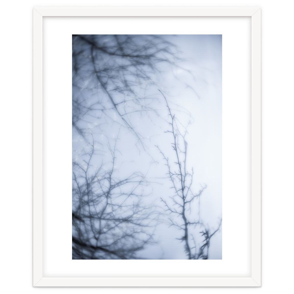 Forgotten Memories of Summer #21