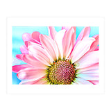 PInk Dahlia (Print Only) thumbnail