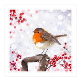 Winter robin (Print Only) thumbnail
