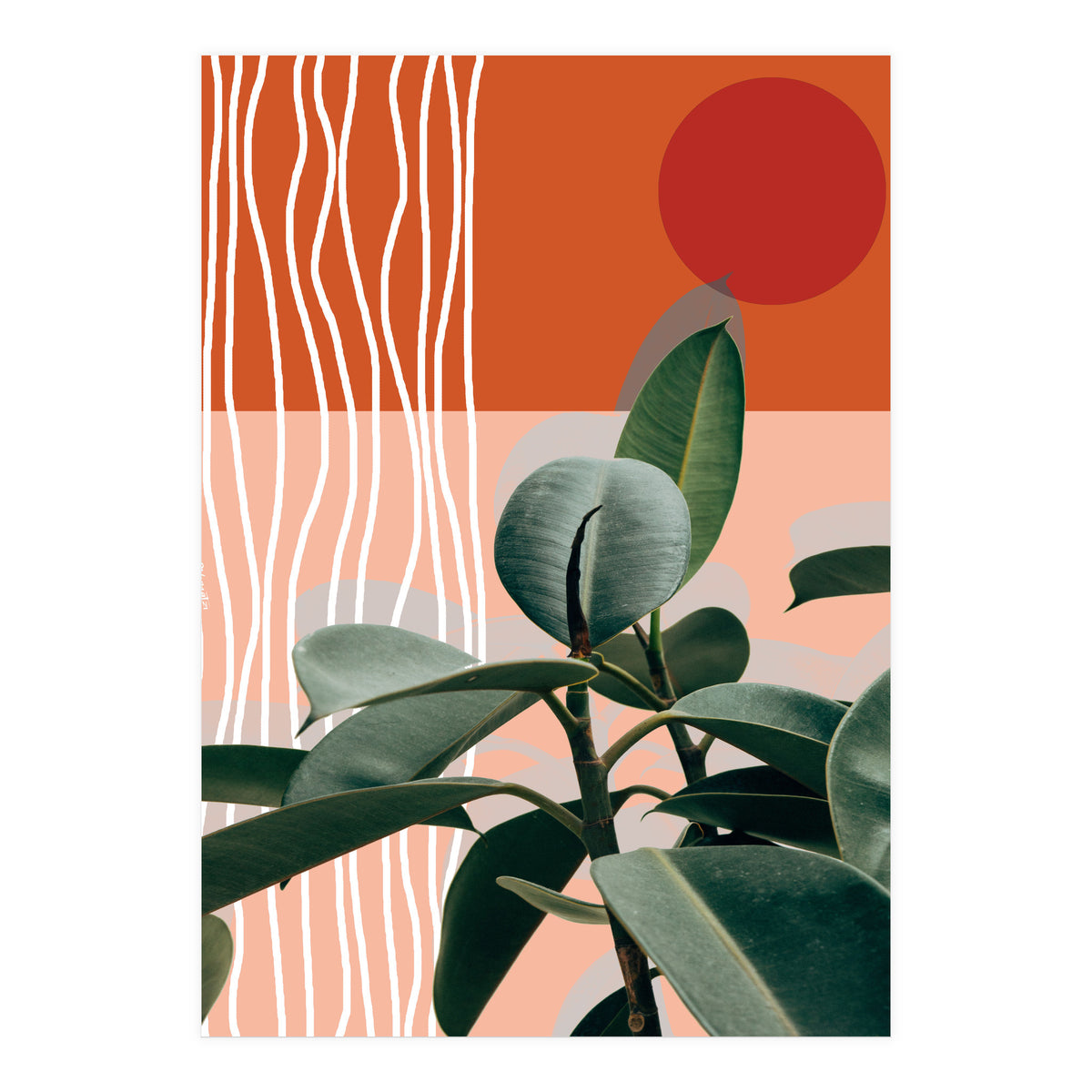 Times of a Growing Plant (Print Only)