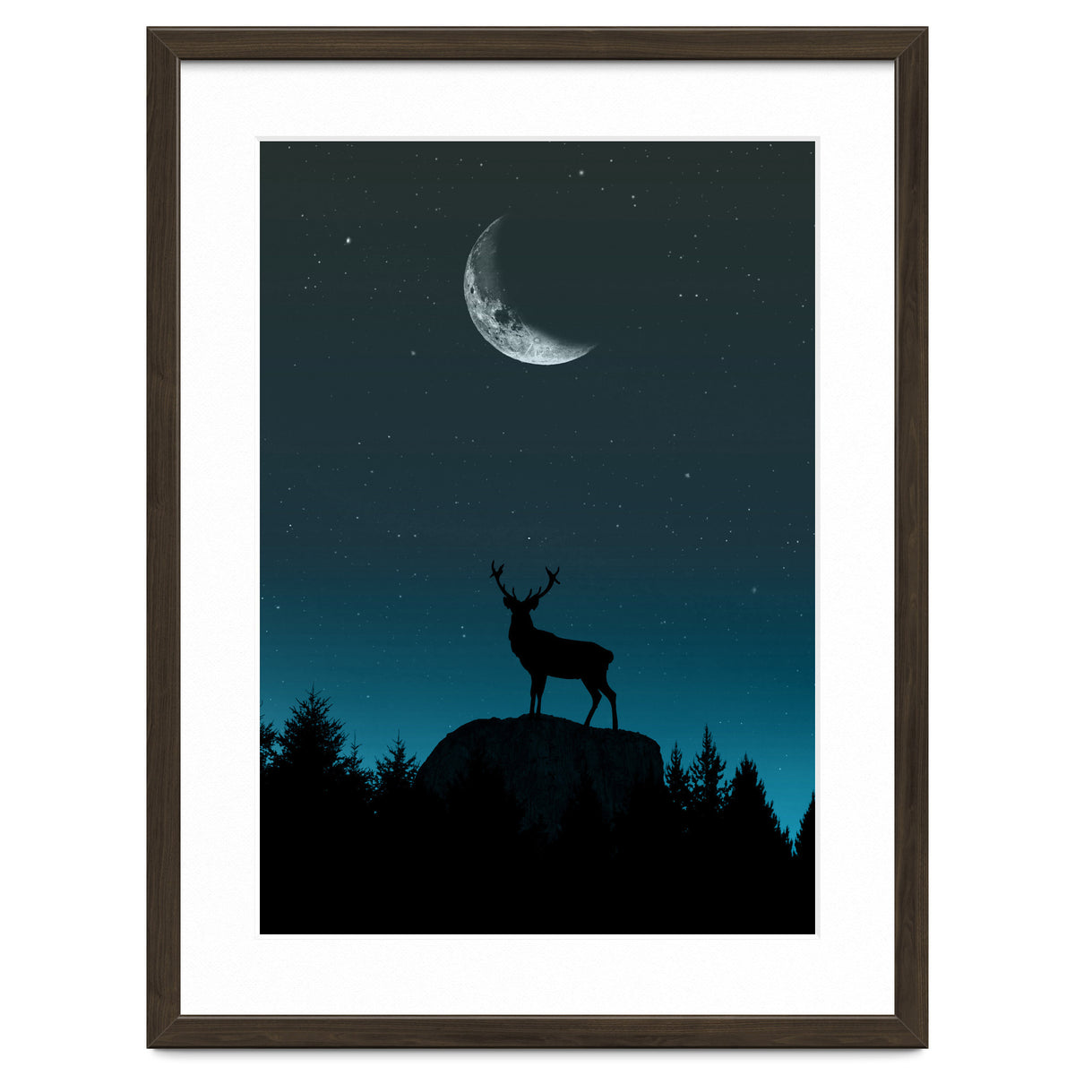 Wild Nature - Nocturne