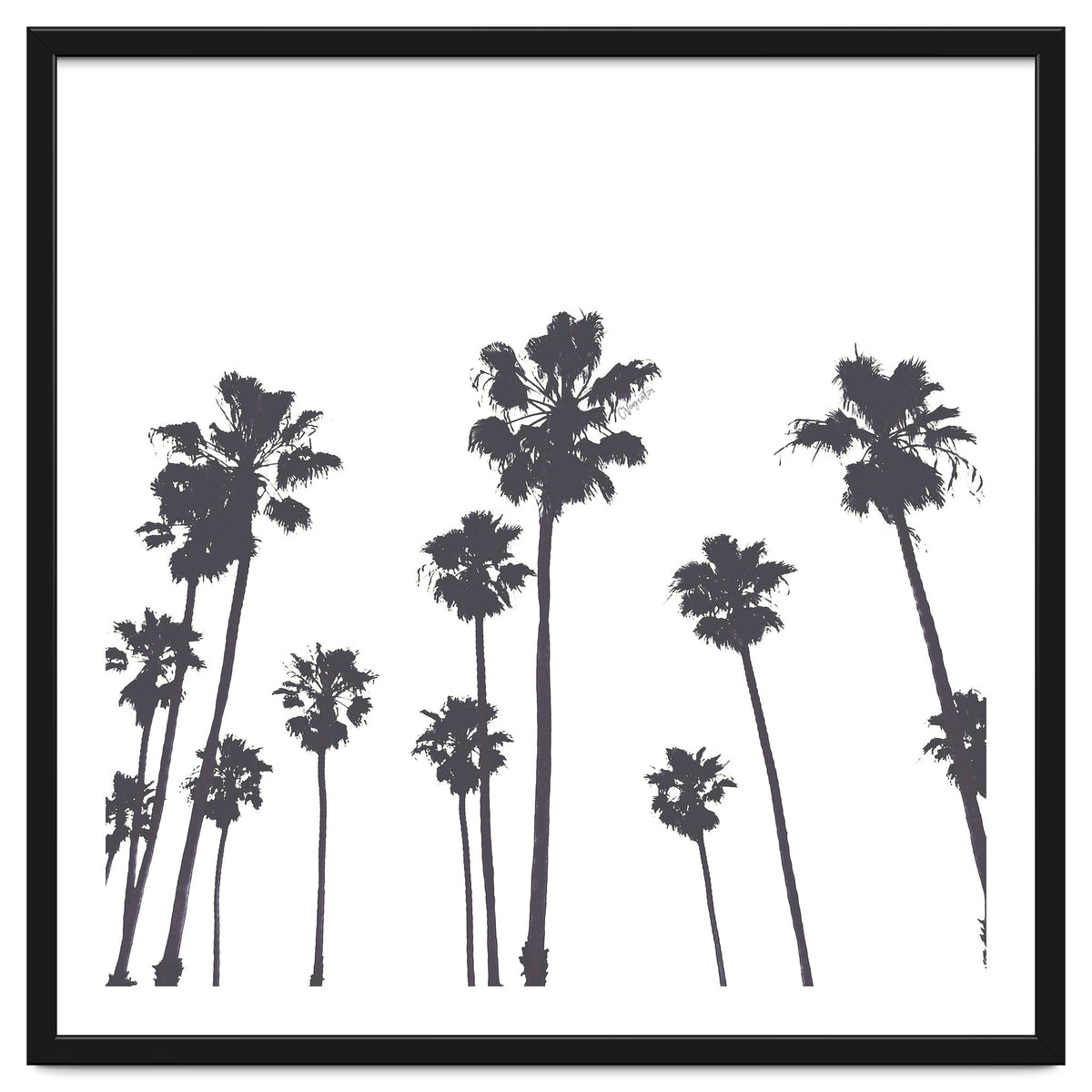 Palms & Sunset-Minimal B&W