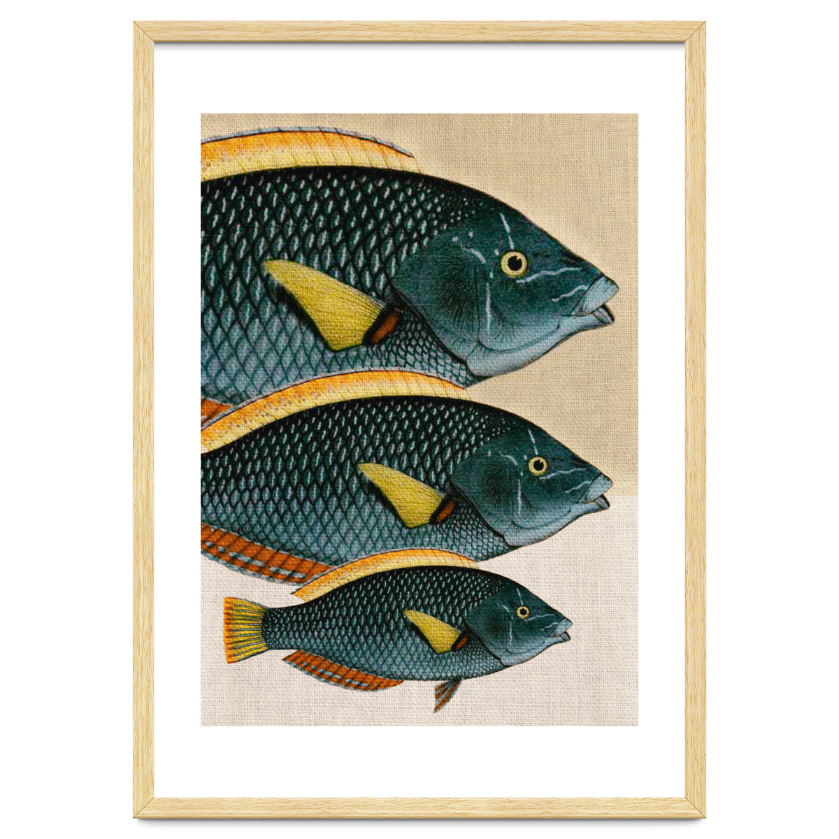 Fish Classic Designs 10