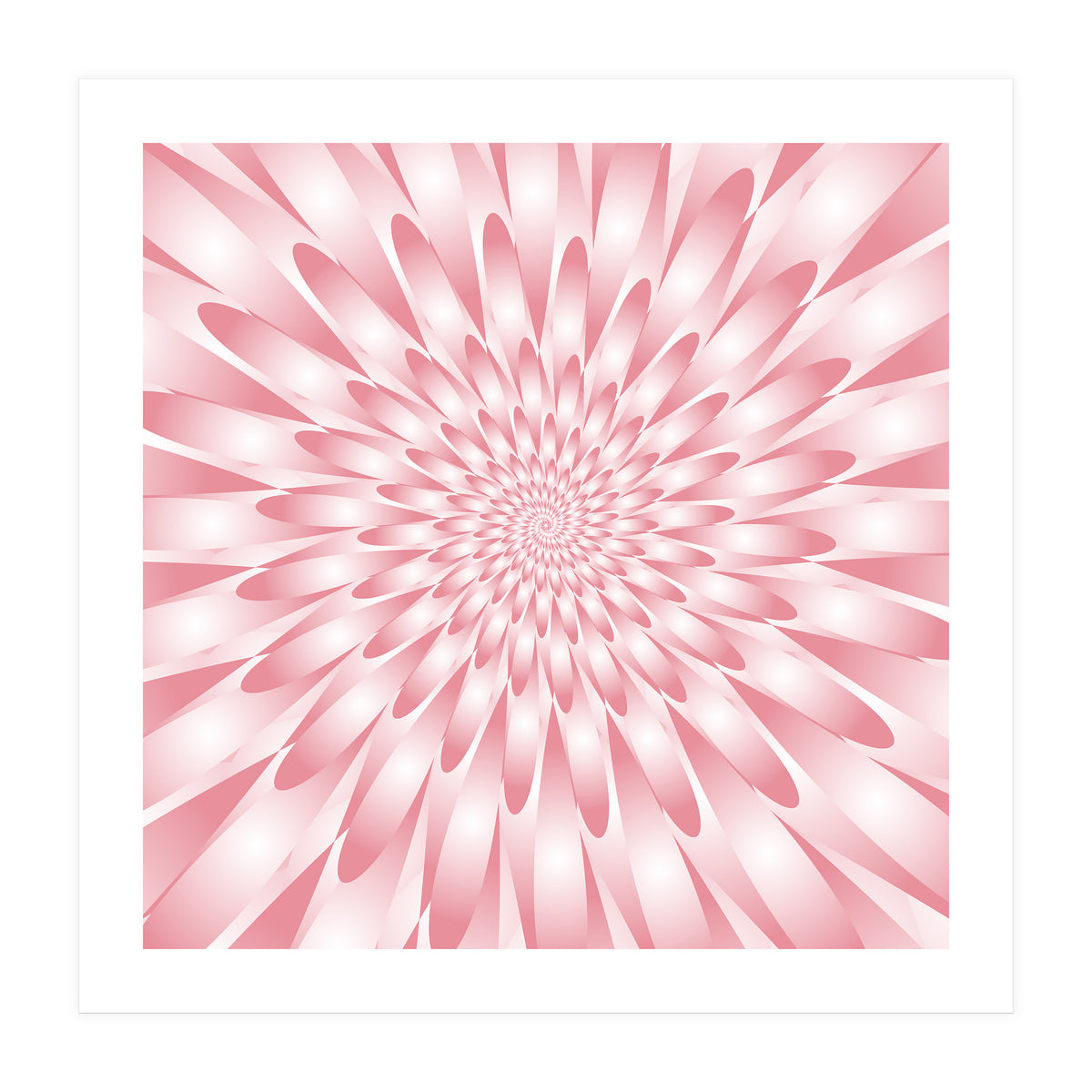 Spiral Pink Flower  (Print Only)