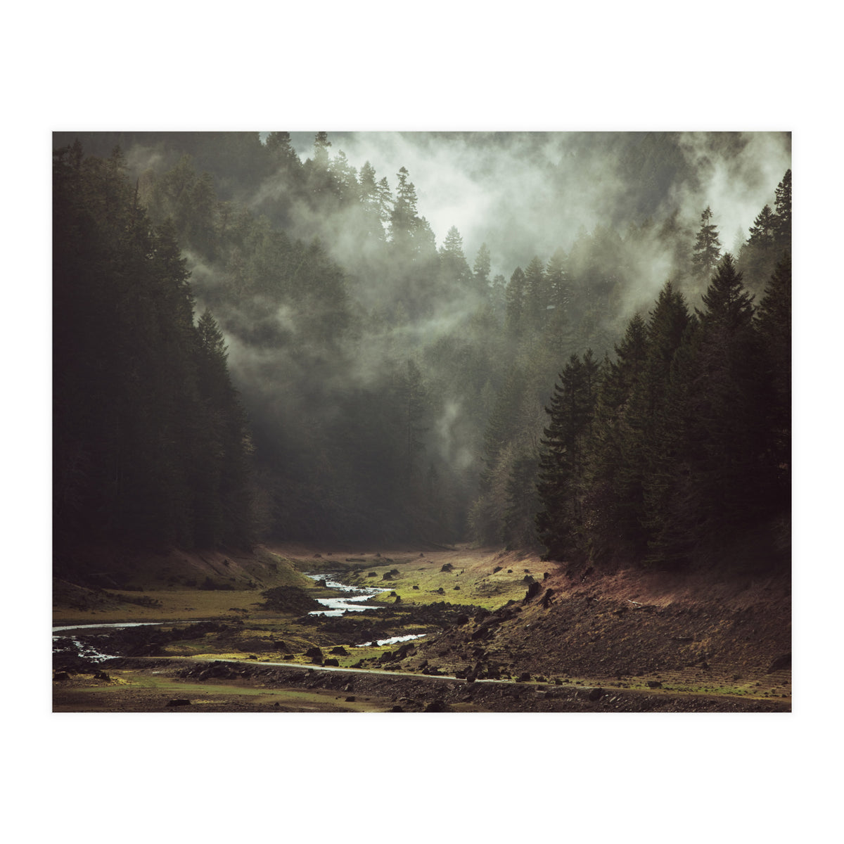 Foggy Forest Creek (Print Only)