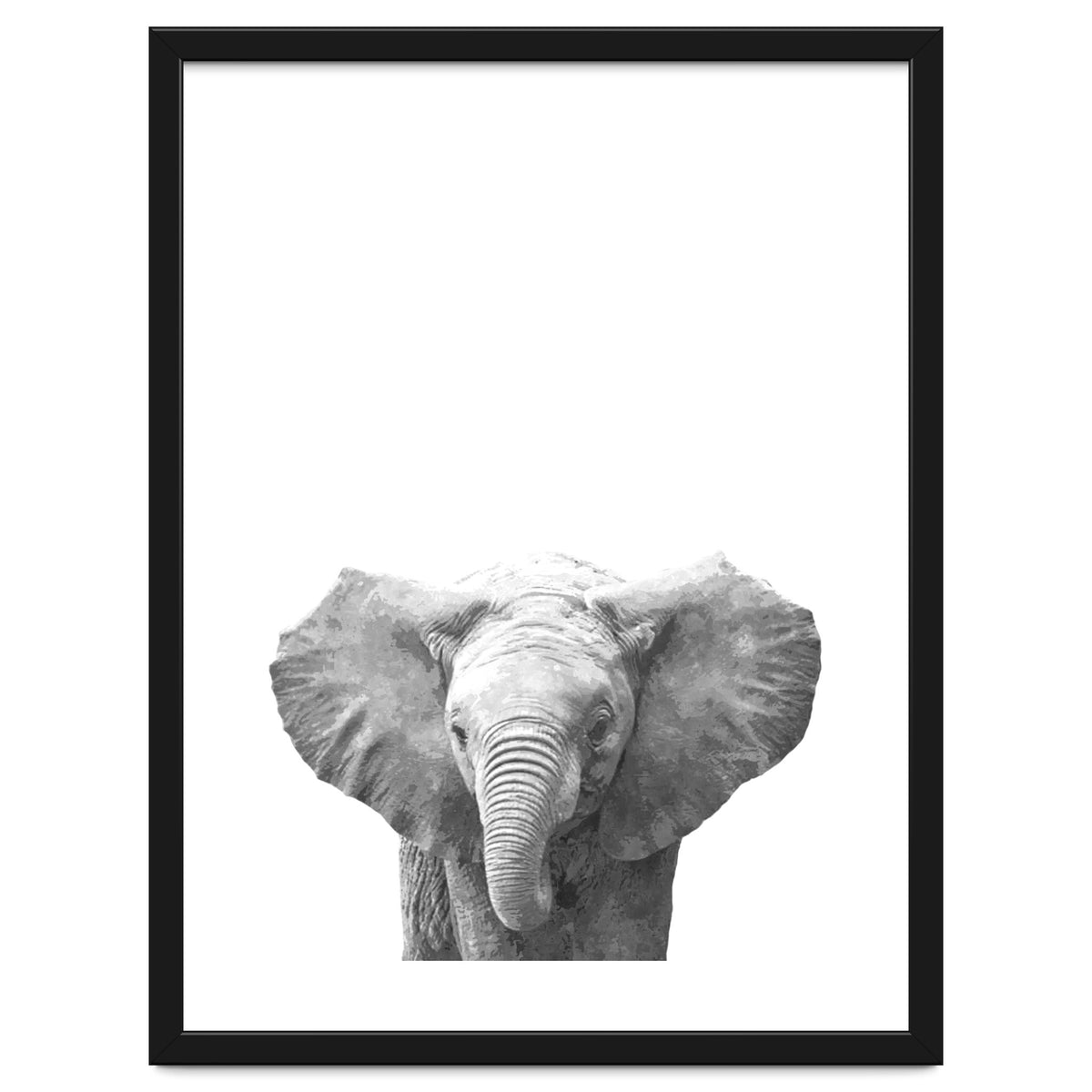 Black and White Baby Elephant