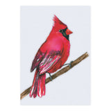 A Northern cardinal watercolor (Print Only) thumbnail