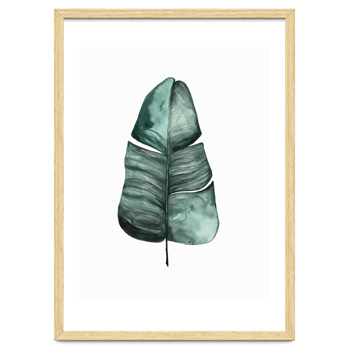 Botanical Illustration Banana Leaf