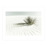WHITE SANDS Idyllic scenery | Vintage (Print Only) thumbnail