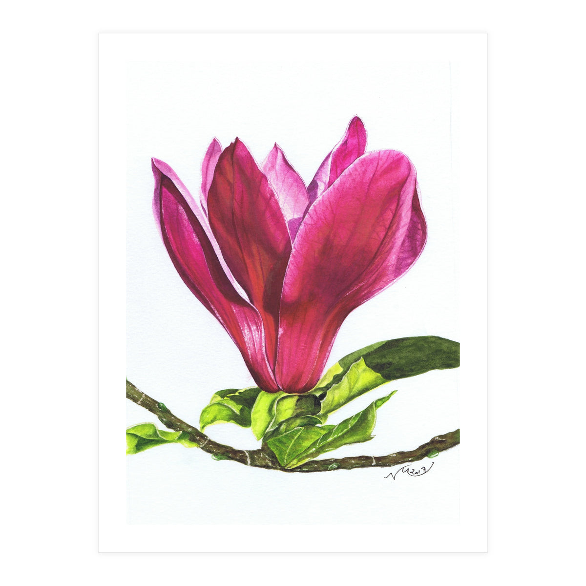 Single Magnolia (Print Only)