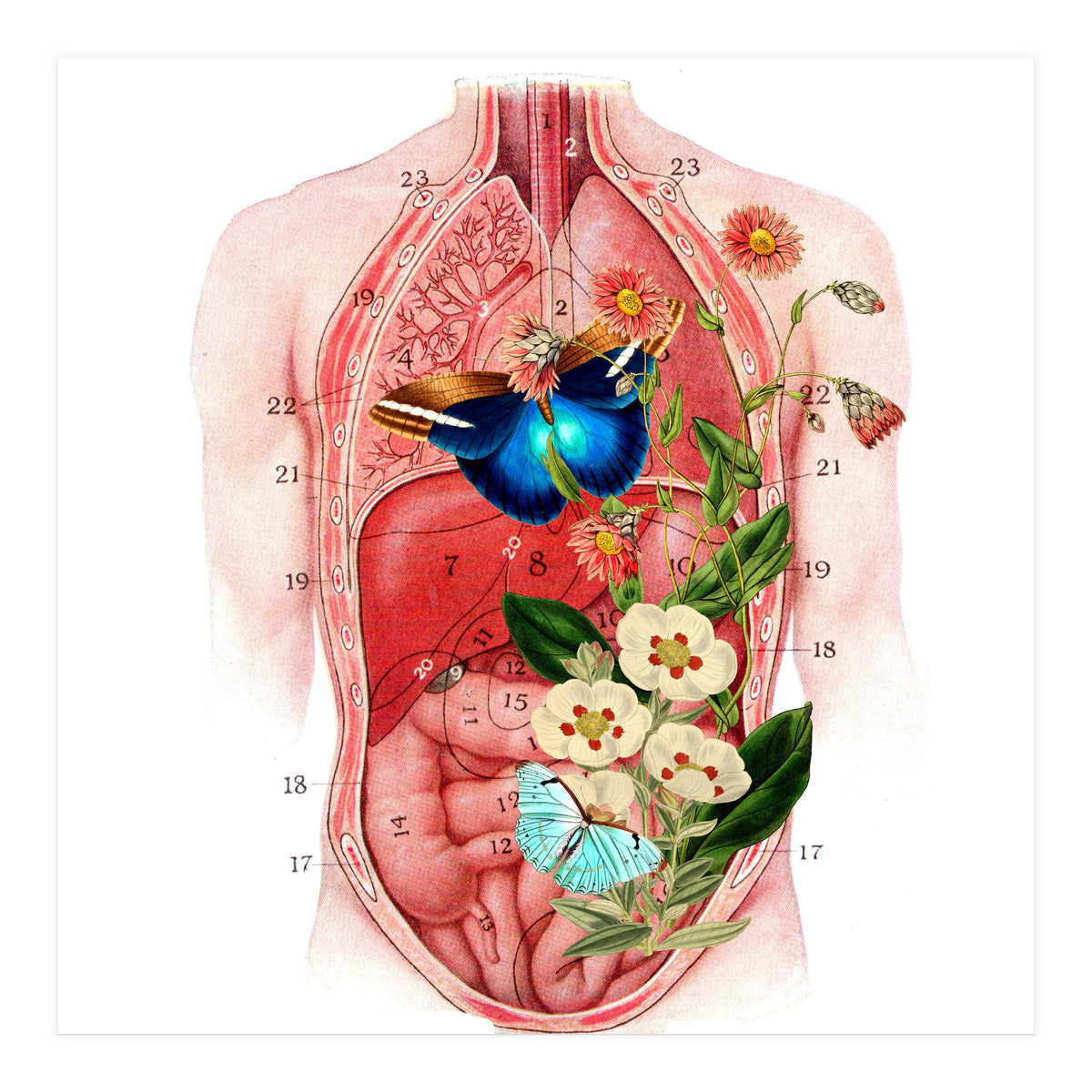 Butterflys In The Belly Makes Flower Grows (Print Only)