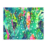 The Polka Dots Plant (Print Only) thumbnail