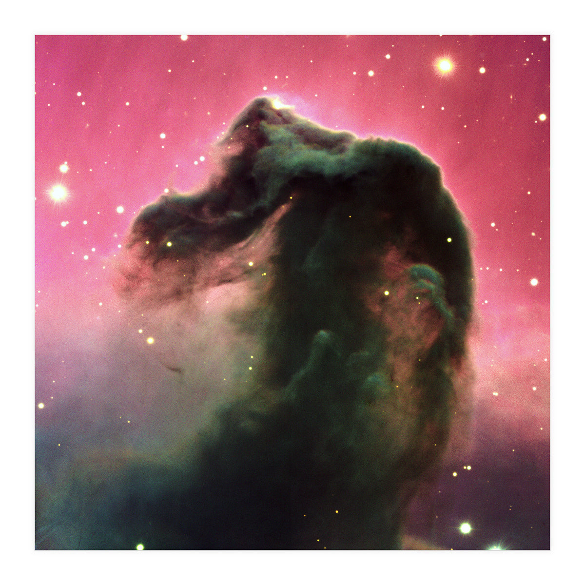 The Horsehead Nebula (Print Only)