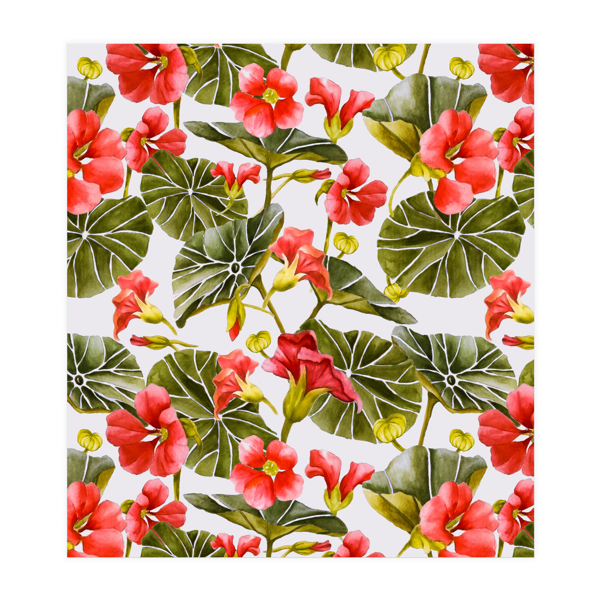 Nasturtiums watercolor 02 (Print Only)