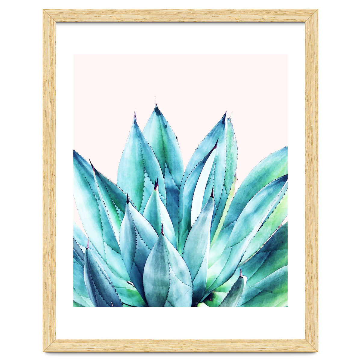 Agave Vibe