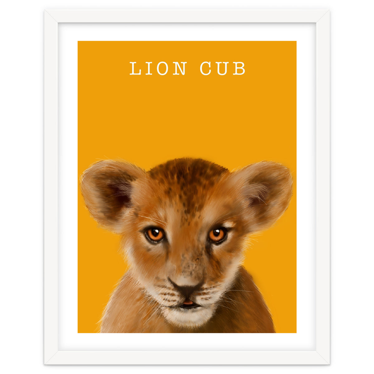 Lion Cub
