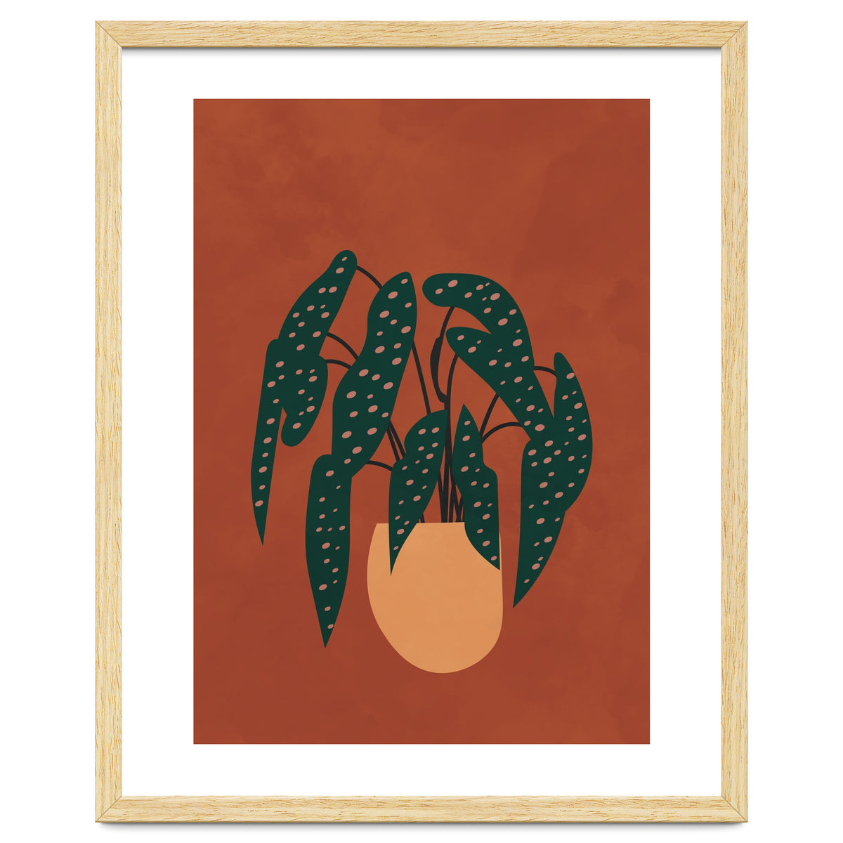 Boho Terracotta Begonia