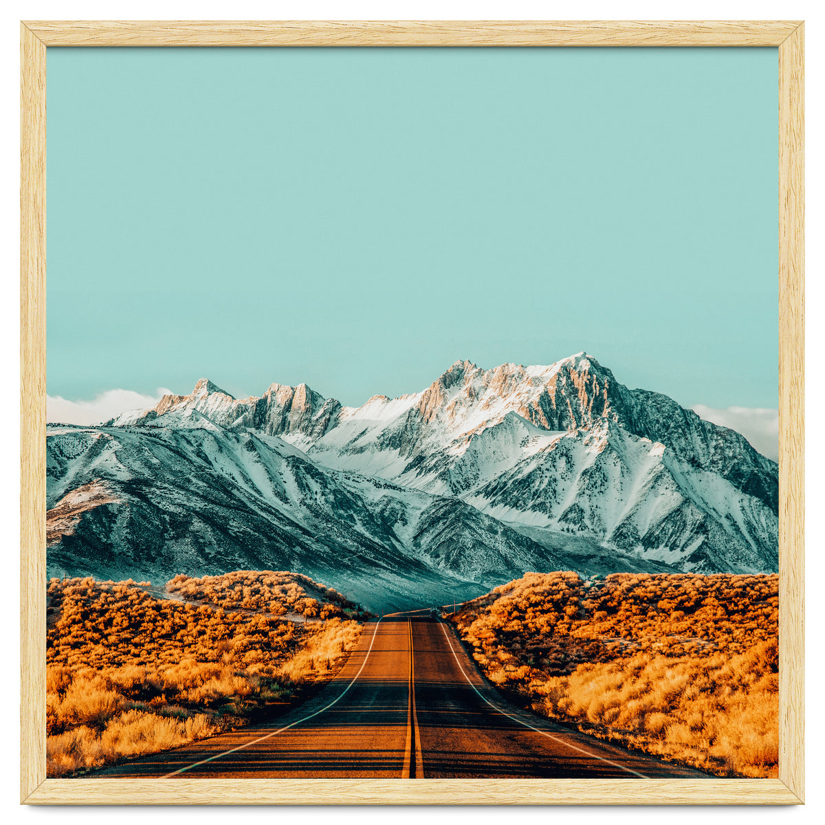 The Road Less Traveled