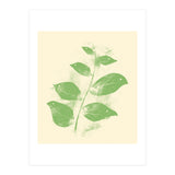 Flying Leaves (Print Only) thumbnail