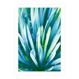 Heart Of Nature (Print Only) thumbnail
