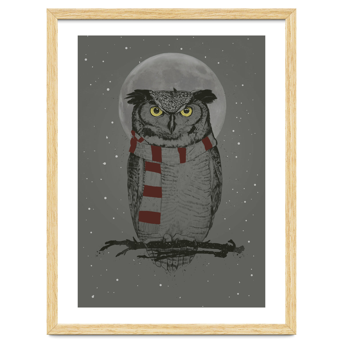Winter Owl