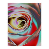 Rose (Print Only)