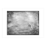 Kayak  (Print Only) thumbnail
