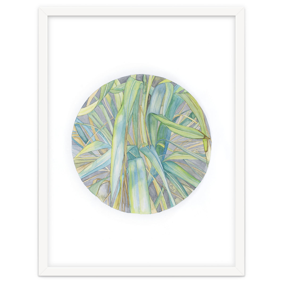 Grasses In The Late Summer Light