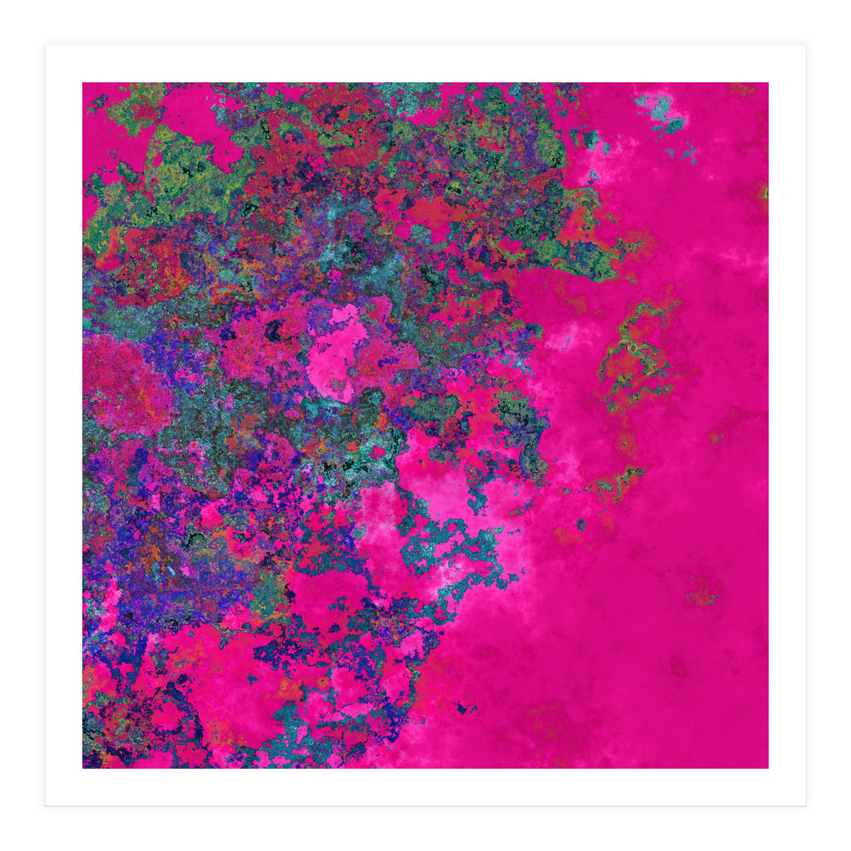 Fuchsia Dream (Print Only)