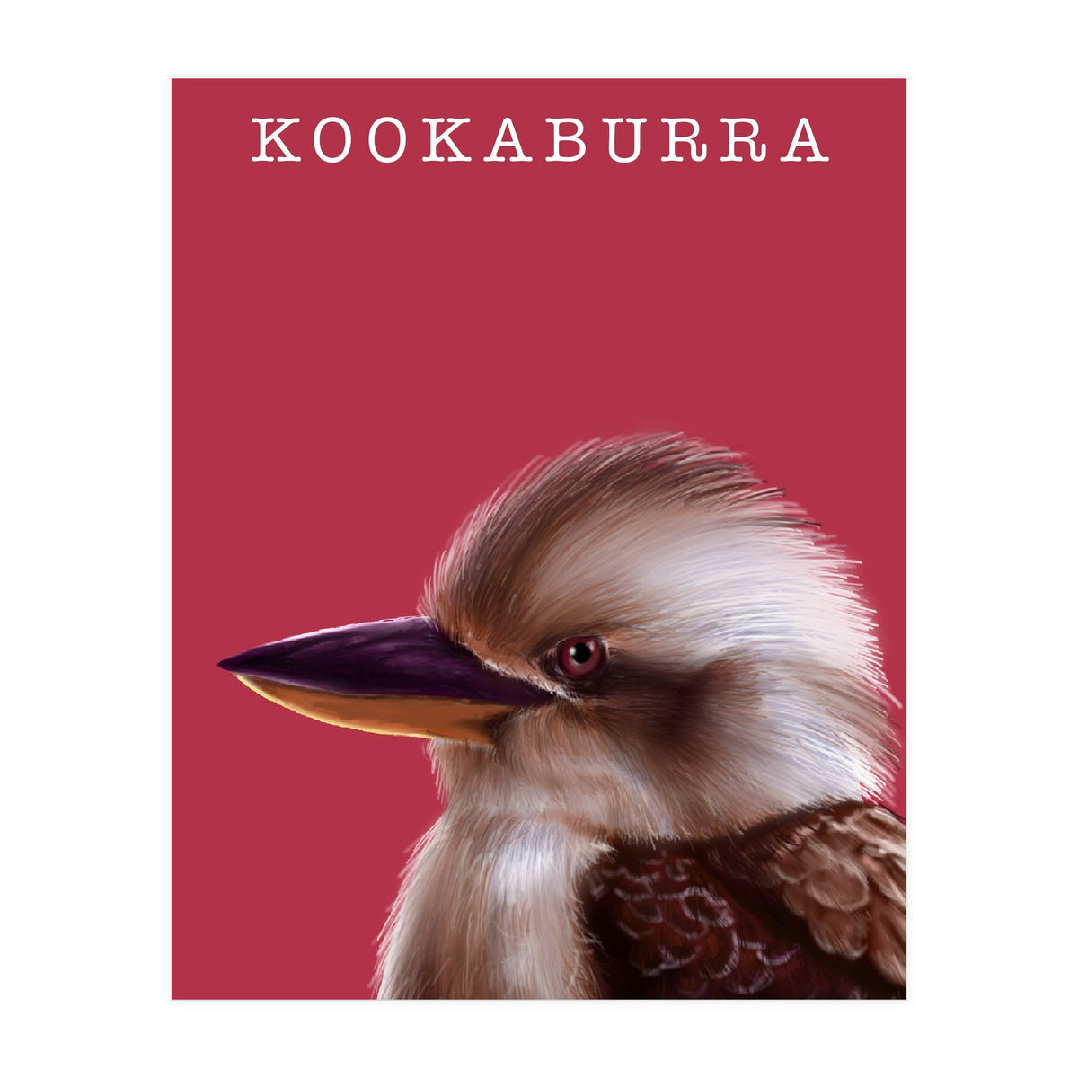 Kookaburra (Print Only)