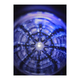 Lucky Reflection (Print Only) thumbnail