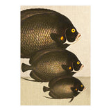 Fish Classic Designs 11 (Print Only) thumbnail
