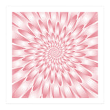 Spiral Pink Flower  (Print Only) thumbnail