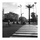 Somewhere New (Print Only) thumbnail