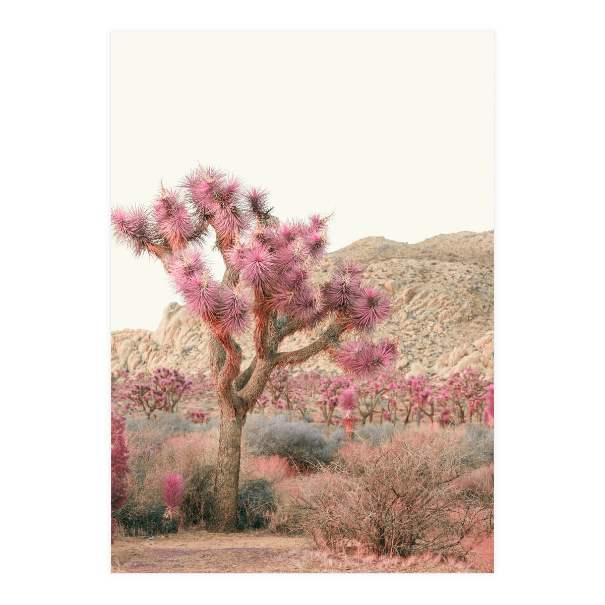 Boho Joshua Tree Cactus (Print Only)