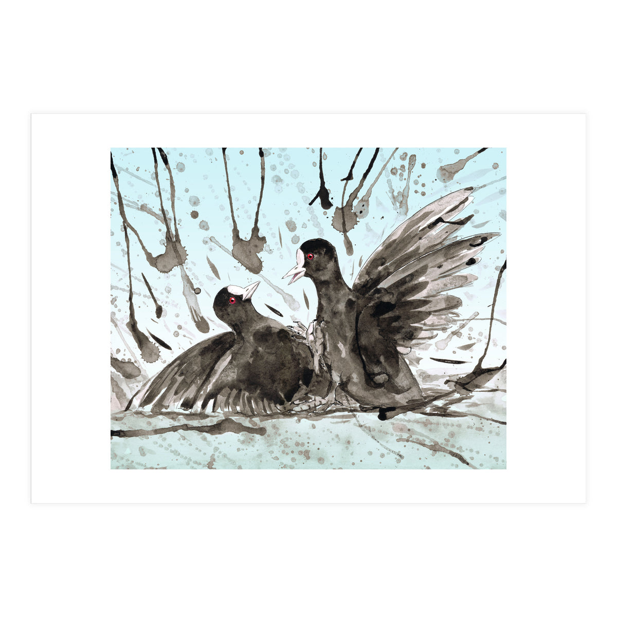 Fighting coots (Print Only)