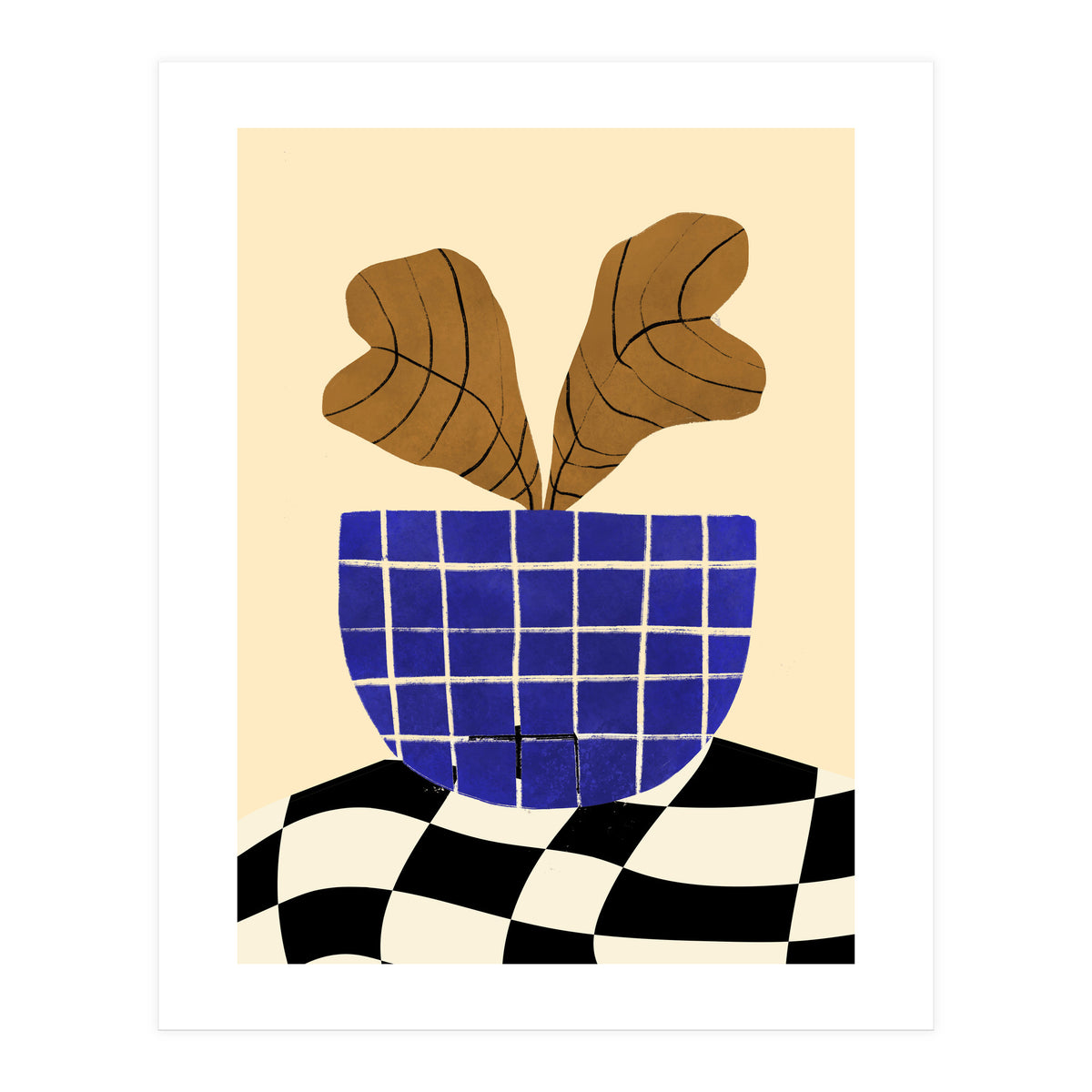 Heuchera (Print Only)