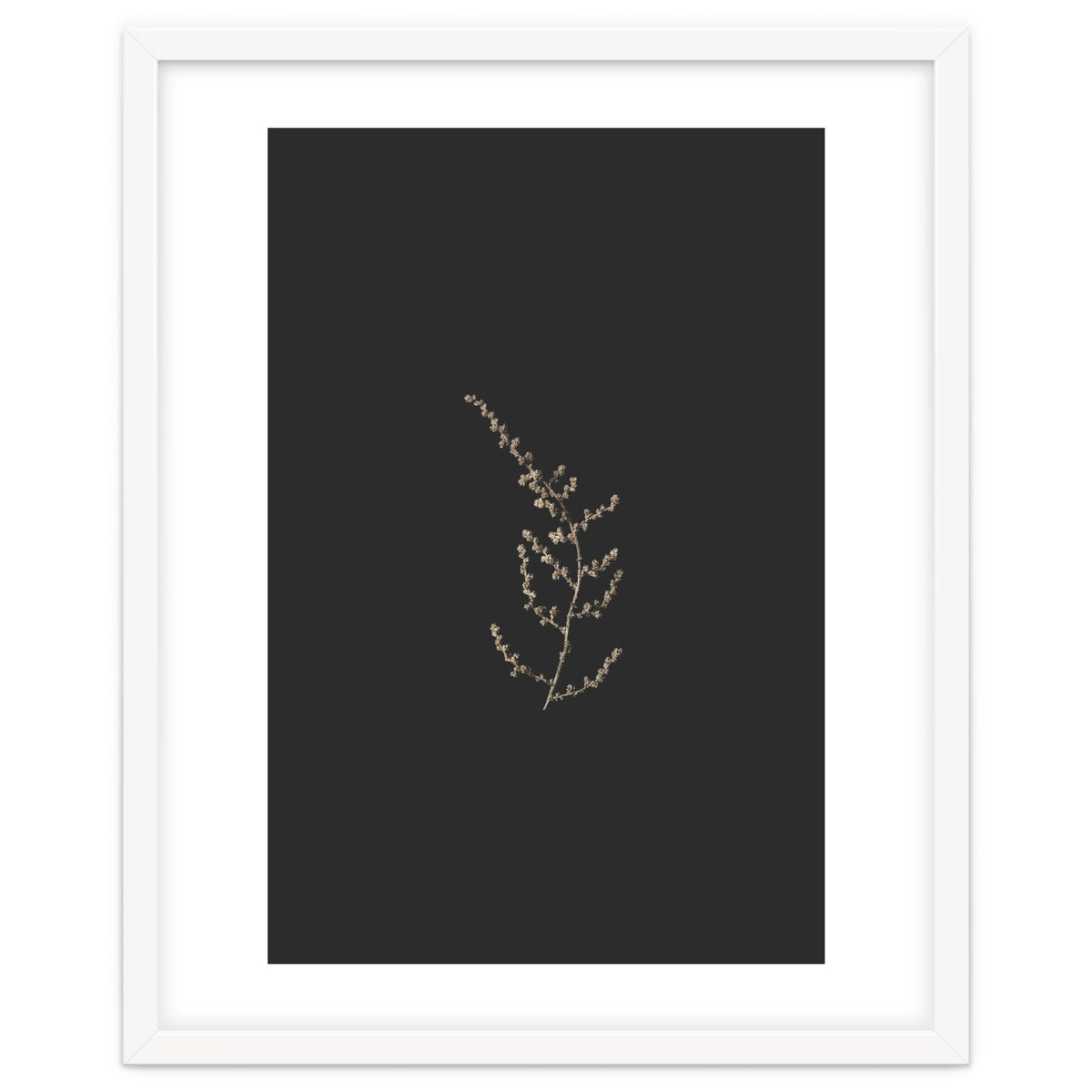 Delicate Golden Fynbos Botanicals on Black