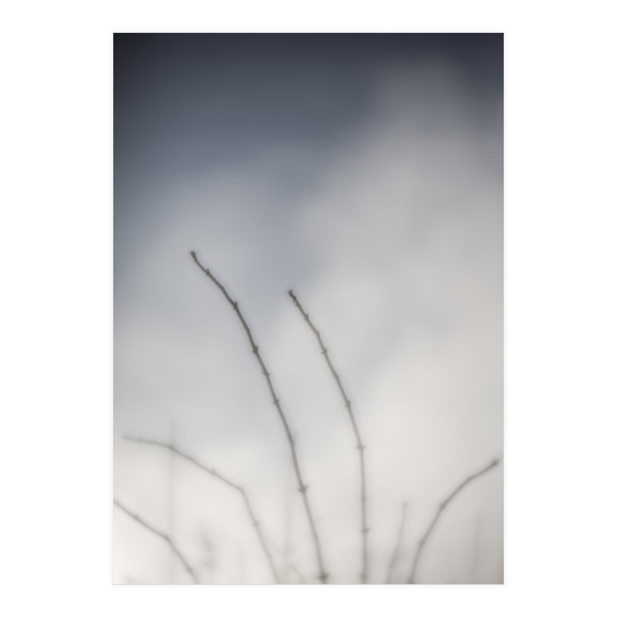 Forgotten Memories of summer #18 (Print Only)