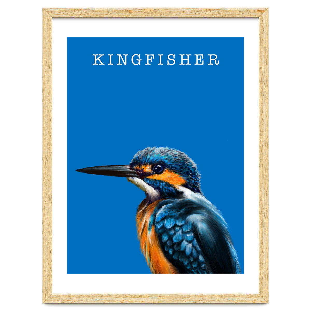 Kingfisher