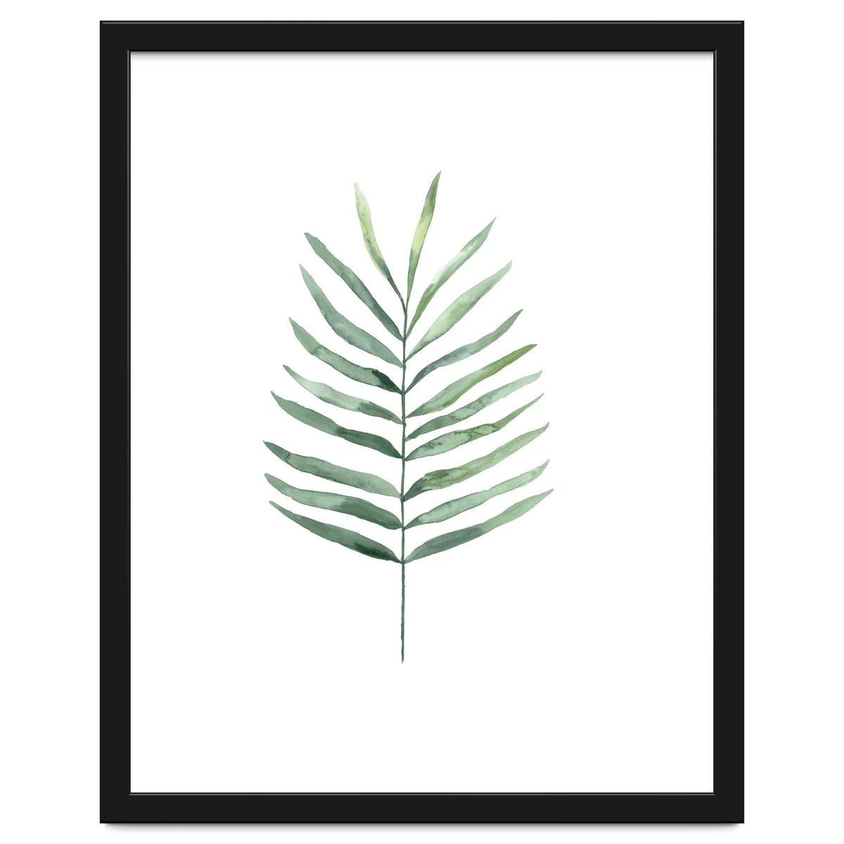 Botanical Illustration Fern