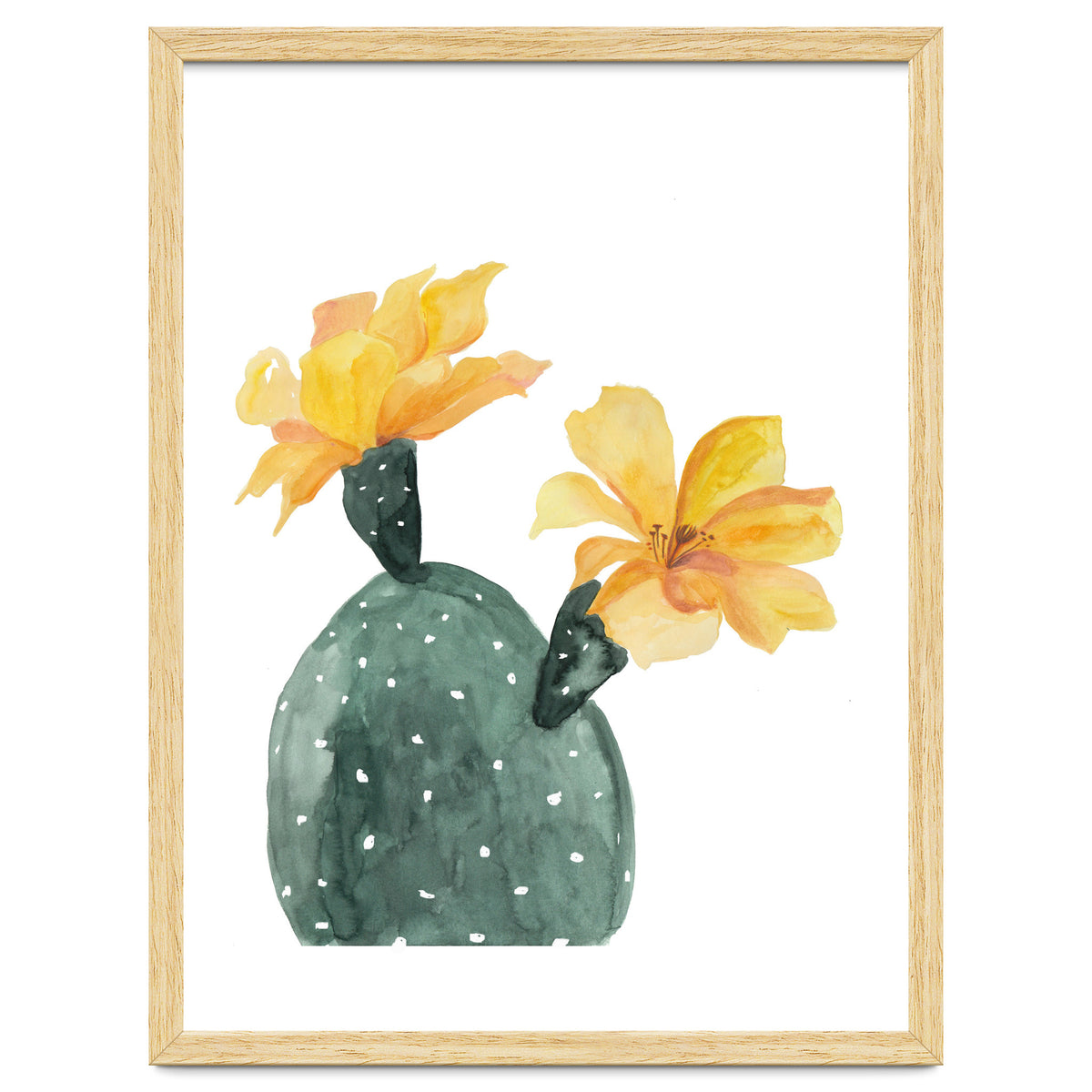 Botanical Illustration Yellow Cactus Flowers