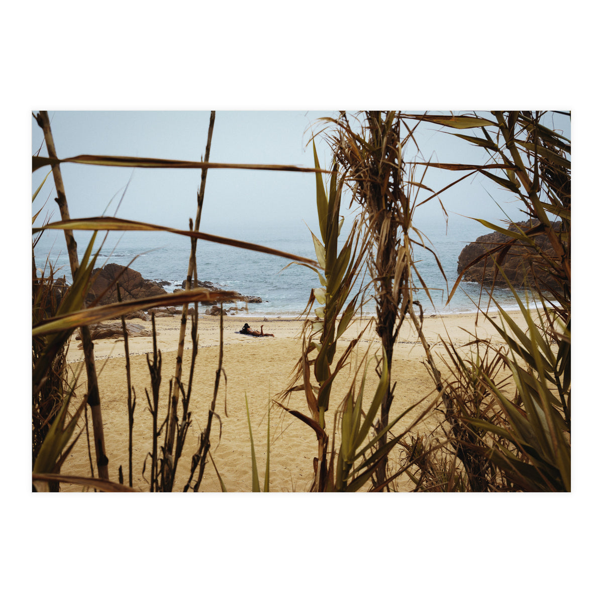 The Lure of a Tan (Print Only)