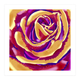 Flowerig Paint (Print Only) thumbnail