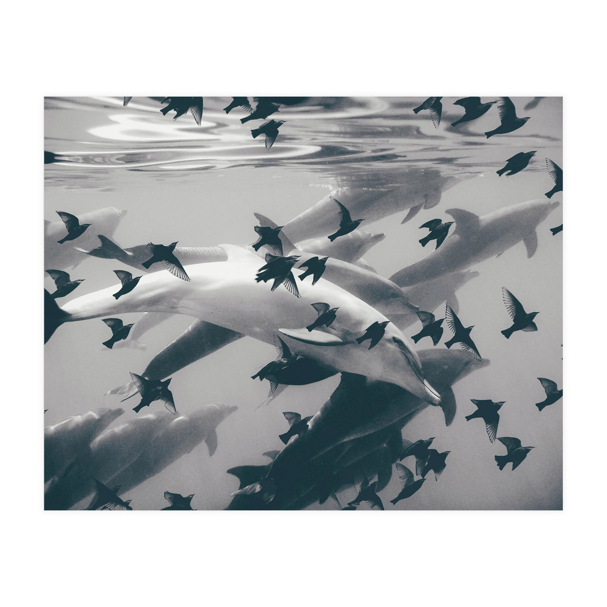 Found Out (Print Only)