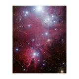 The Christmas Tree Cluster (Print Only) thumbnail