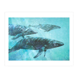 Pod (Print Only) thumbnail
