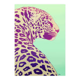 Leopard Under The Sun (Print Only) thumbnail