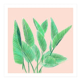 Modern Hand Painted Tropical Green Watercolor Leaf Bird Of Paradise On Pastel Pink (Print Only) thumbnail